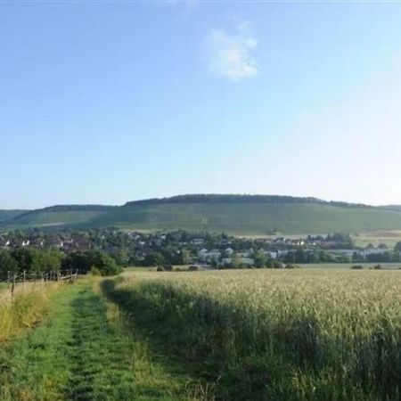Landpension Wachtkopf Ferienwohnungen Vaihingen an der Enz Exterior foto