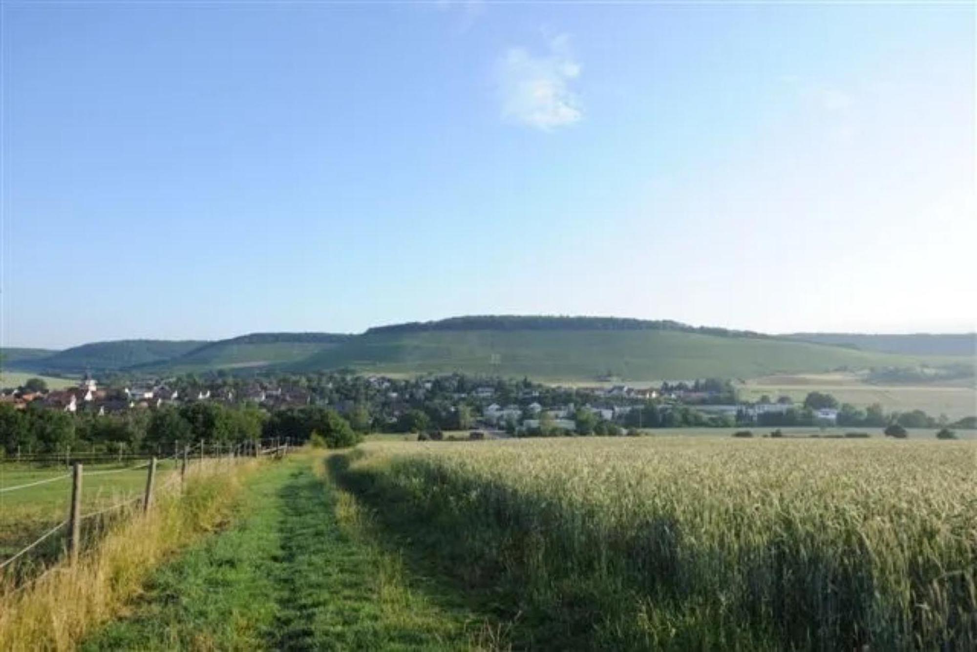 Landpension Wachtkopf Ferienwohnungen Vaihingen an der Enz Exterior foto
