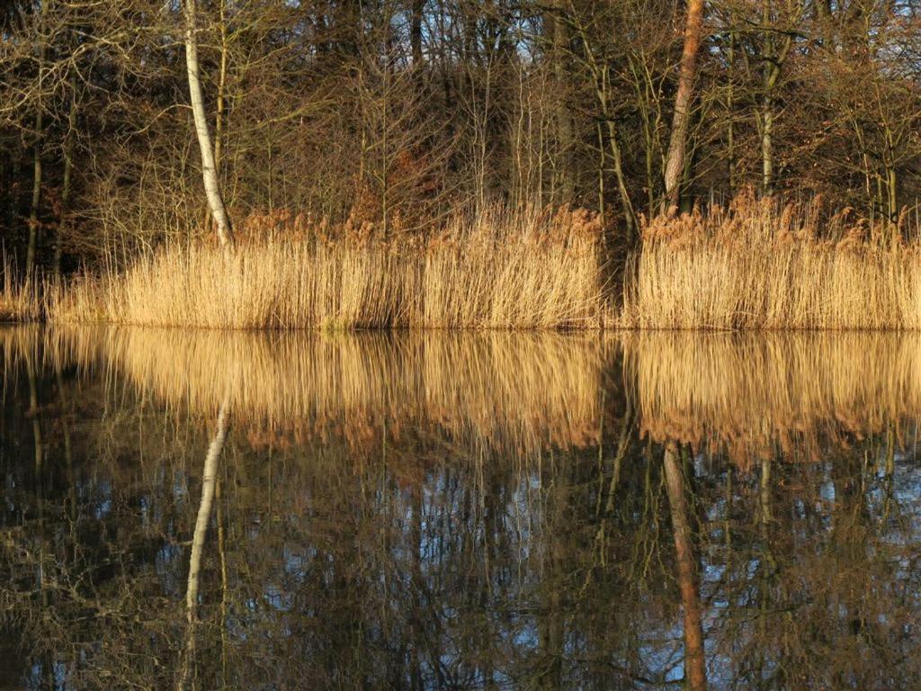 Landpension Wachtkopf Ferienwohnungen Vaihingen an der Enz Exterior foto