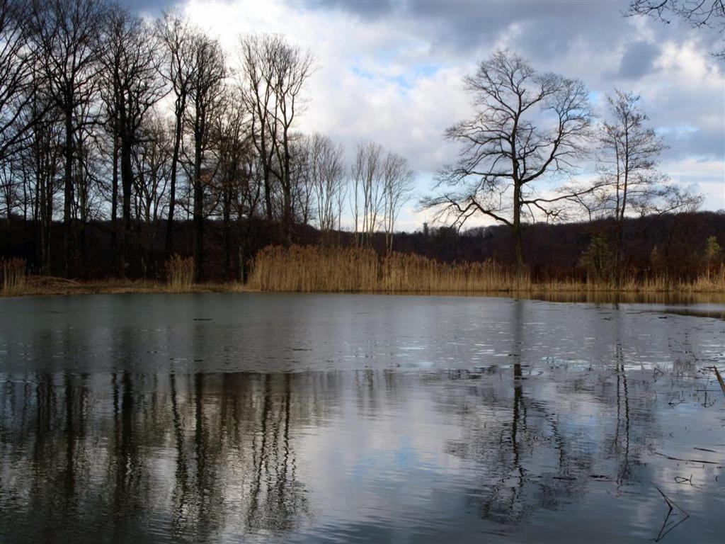 Landpension Wachtkopf Ferienwohnungen Vaihingen an der Enz Exterior foto