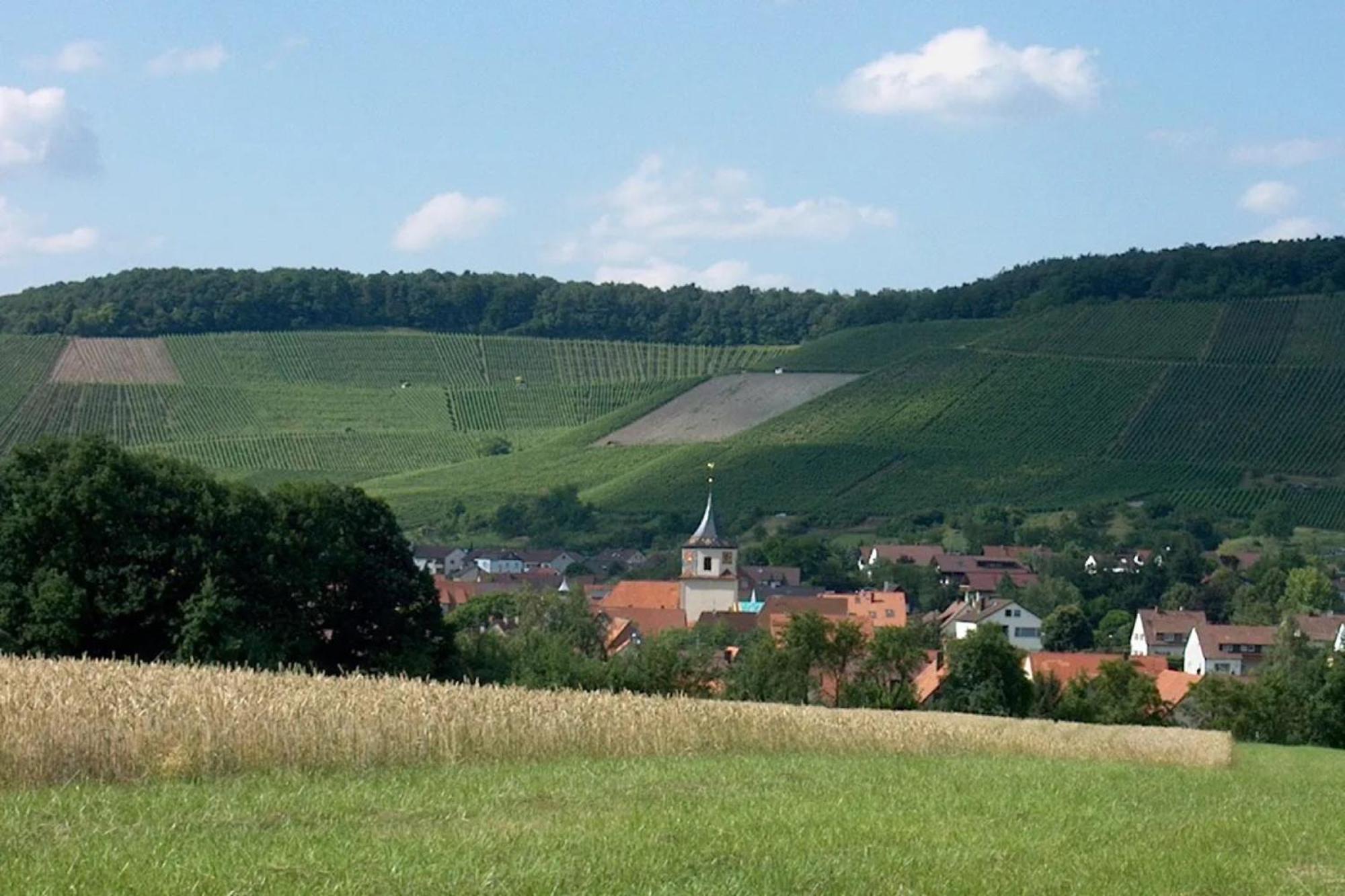 Landpension Wachtkopf Ferienwohnungen Vaihingen an der Enz Exterior foto