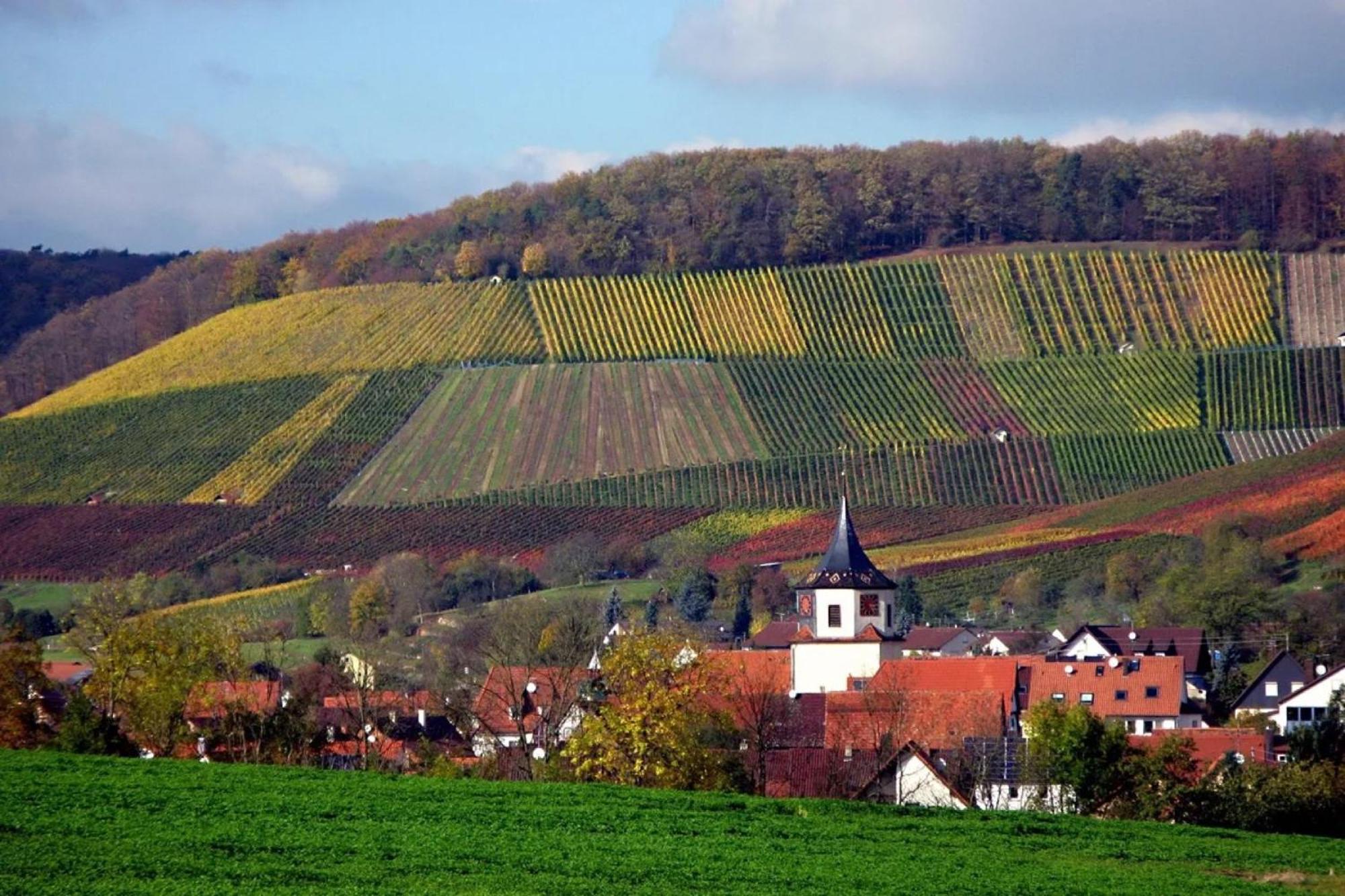 Landpension Wachtkopf Ferienwohnungen Vaihingen an der Enz Exterior foto